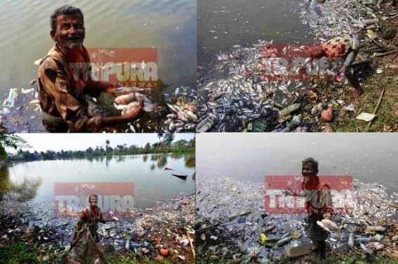 Lack of security in State Capital : miscreants poisoned age-old holy Laxmi Narayan Bari Lake : rotten fishy-smells occupies Agartala City, AMC’s negligence, corruption destroying heritage sites Lack of security in State Capital : miscreants poisoned age-old holy Laxmi Narayan Bari Lake : rotten fishy-smells occupies Agartala City, AMC’s negligence, corruption destroying heritage sites
